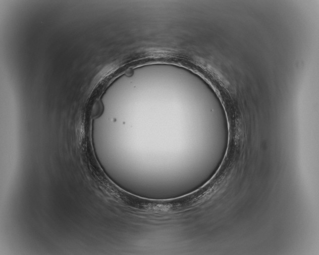 X0000116271261200912071035