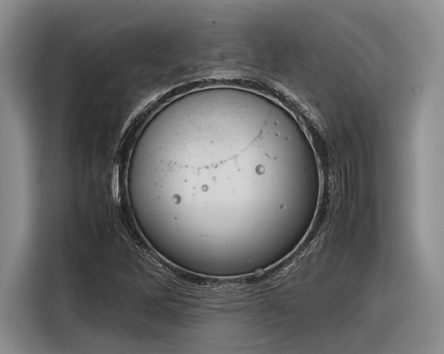 X0000116271262200912071035