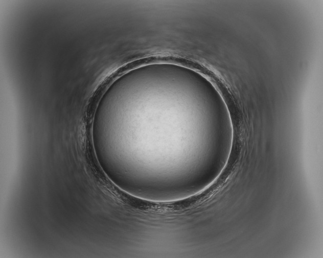 X0000116271263200912071035