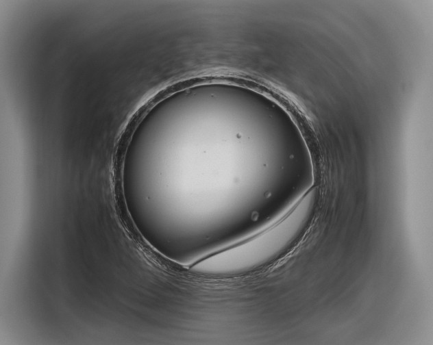 X0000116271264200912071035