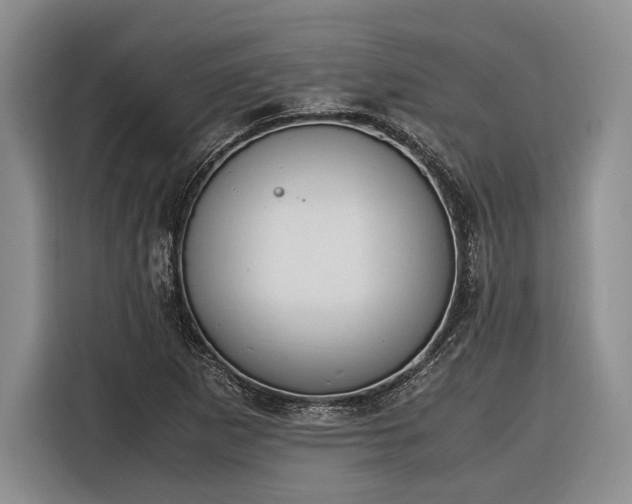 X0000116271265200912071035