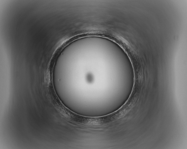 X0000116271267200912071035