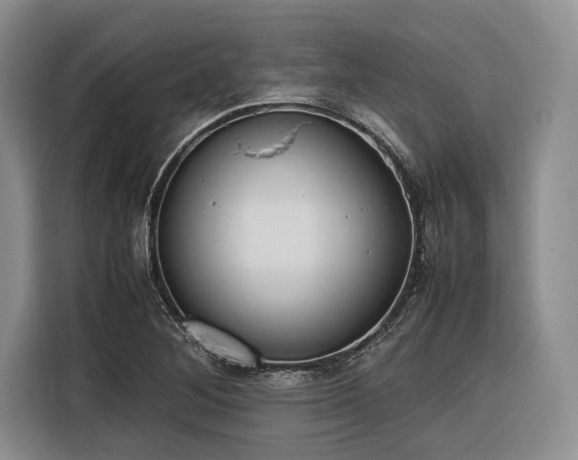 X0000116271268200912071035