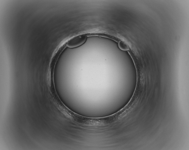 X0000116271270200912071035