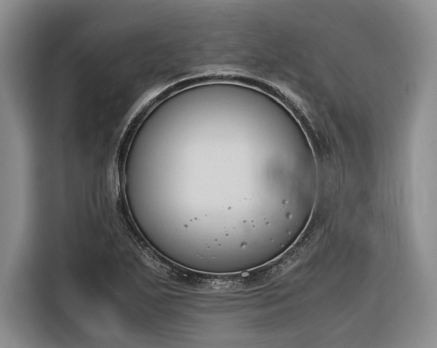 X0000116271271200912071035