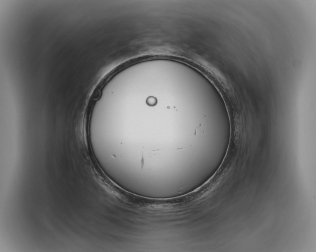 X0000116271272200912071035