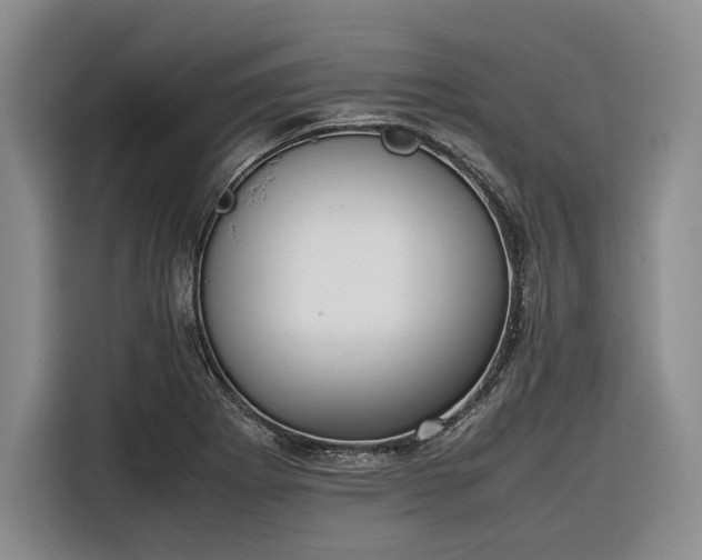 X0000116271273200912071035
