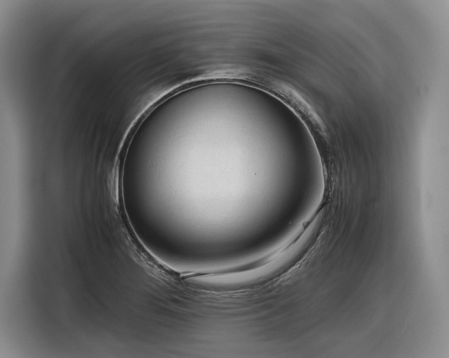 X0000116271276200912071035