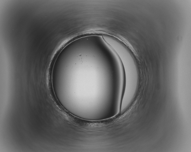 X0000116271277200912071035
