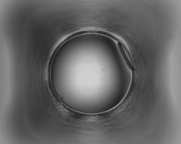 X0000116271279200912071035