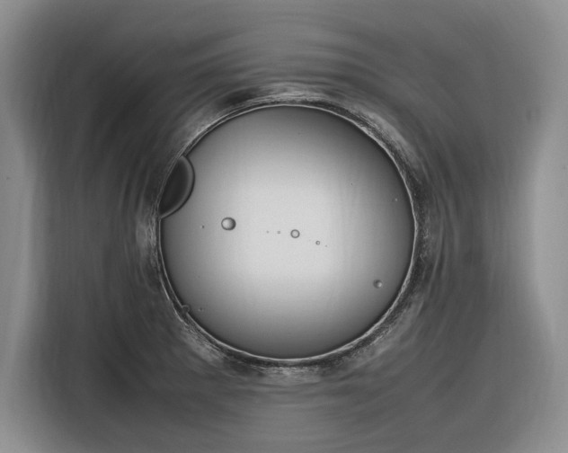 X0000116271281200912071035