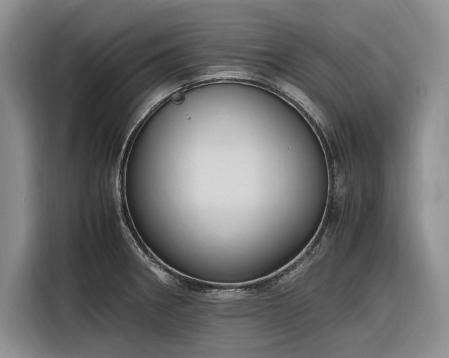 X0000116271282200912071035