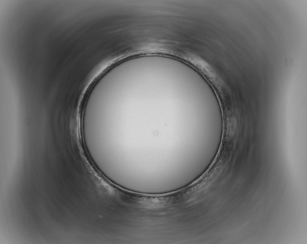 X0000116271286200912071035