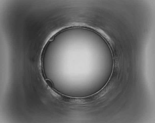 X0000116271287200912071035
