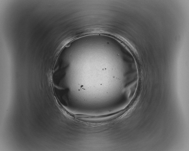 X0000116271289200912071035