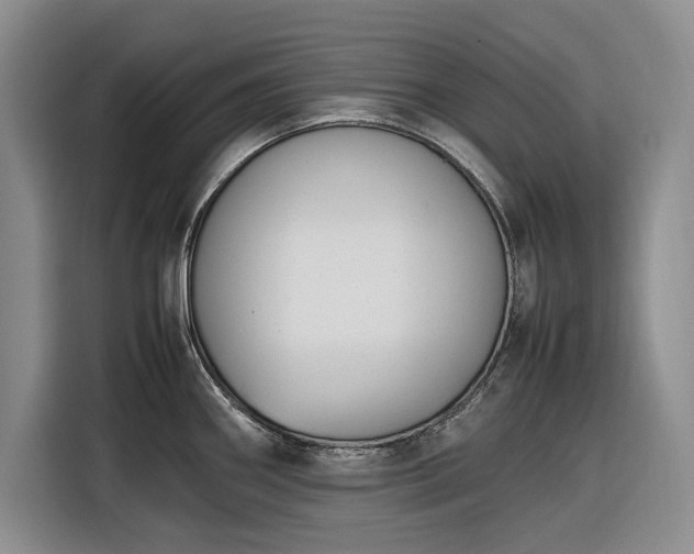 X0000116271290200912071035