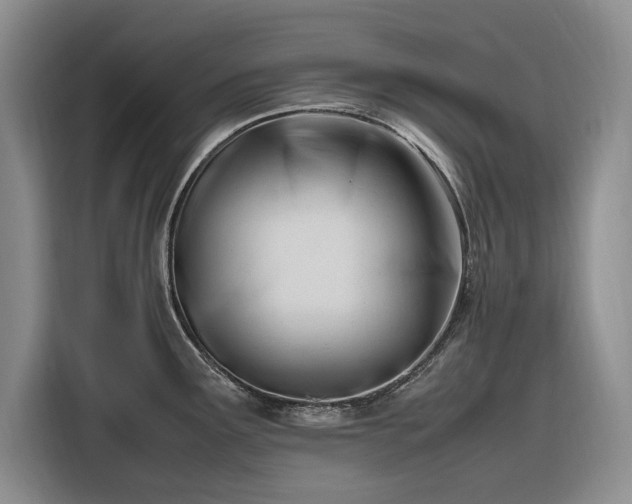 X0000116271291200912071035