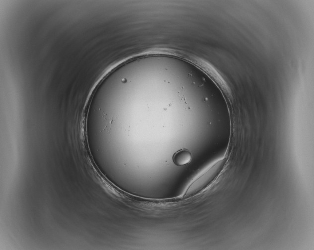 X0000116271292200912071035