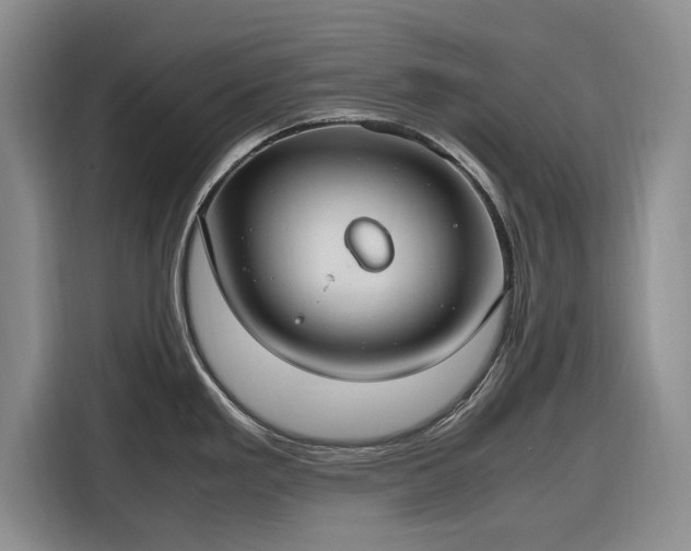 X0000116271293200912071035