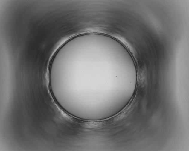 X0000116271294200912071035
