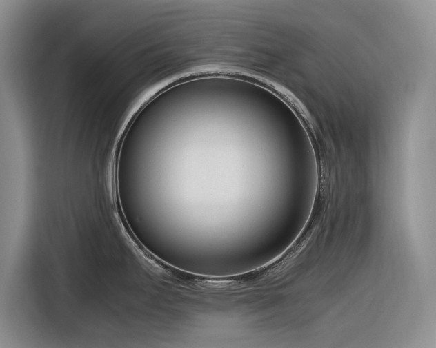 X0000116271295200912071035