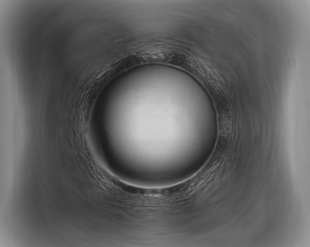 X0000116271297200912071034