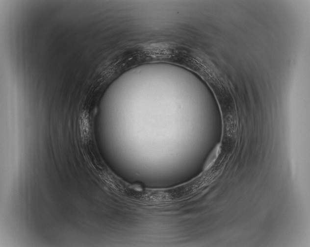 X0000116271298200912071034