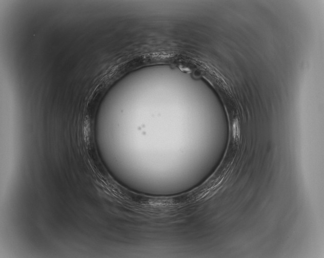 X0000116271299200912071034