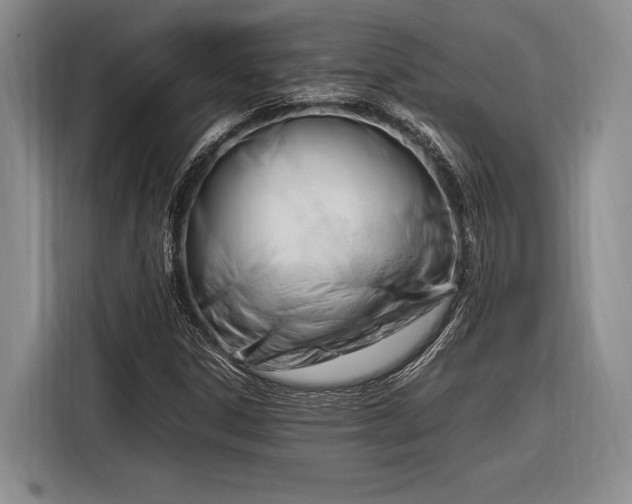 X0000116271306200912071034