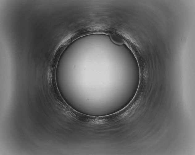 X0000116271309200912071034