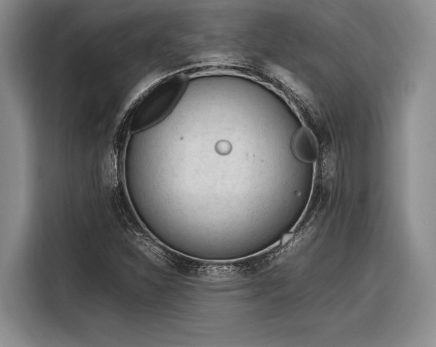 X0000116271310200912071034