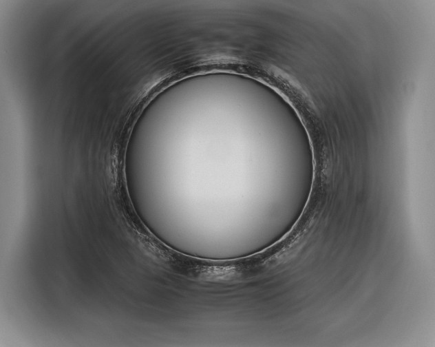 X0000116271313200912071034