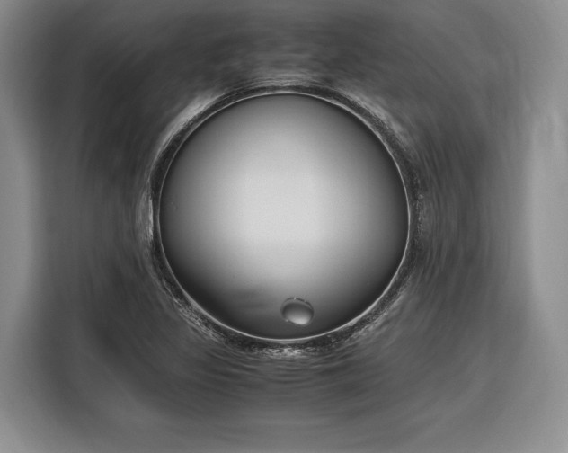 X0000116271317200912071034