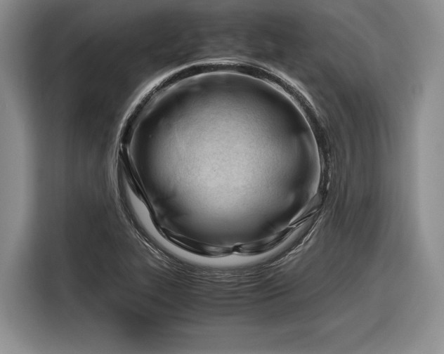 X0000116271319200912071034