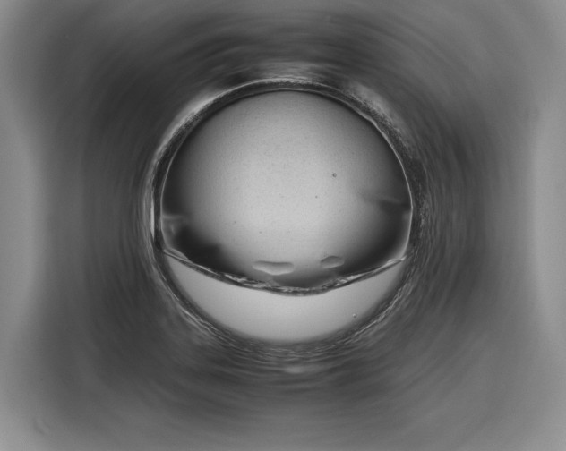 X0000116271323200912071034