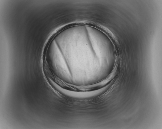 X0000116271327200912071034