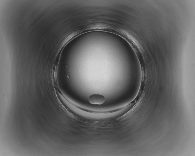 X0000116271329200912071034