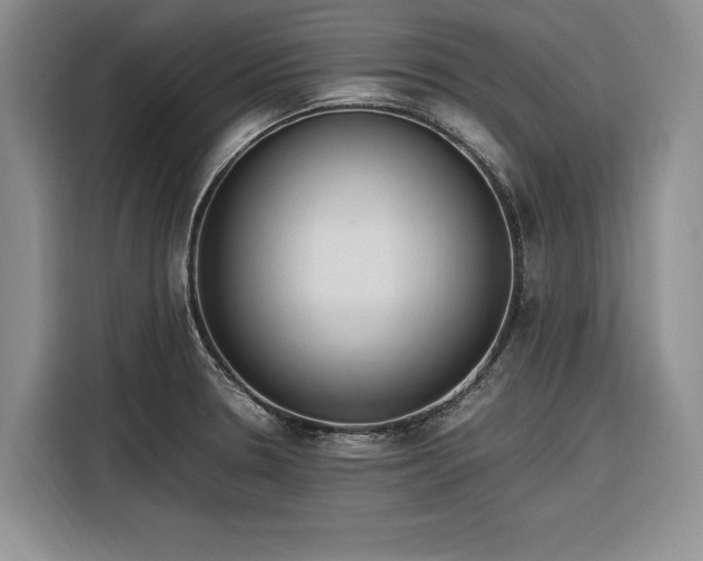 X0000116271330200912071034