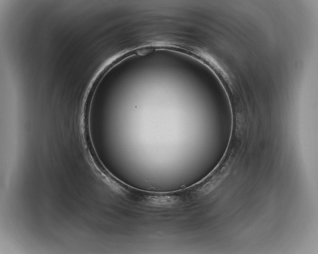X0000116271331200912071034