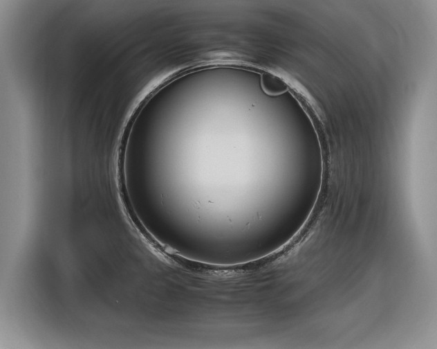 X0000116271333200912071035