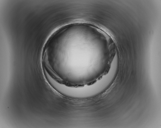 X0000116271334200912071035