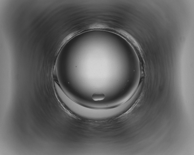 X0000116271337200912071035