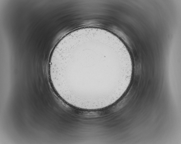 X0000116271338200912071035
