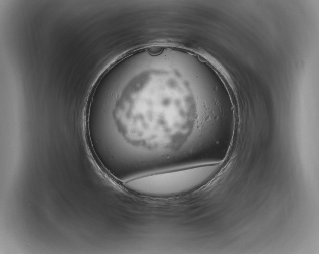 X0000116271341200912071035