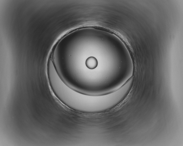 X0000116271342200912071035