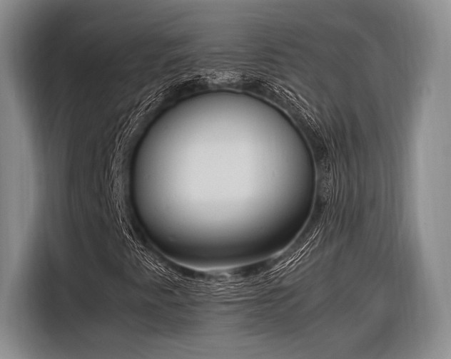 X0000116271345200912071034