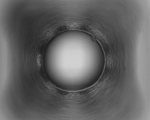 X0000116271346200912071034