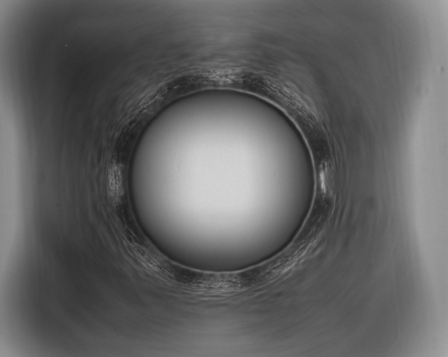 X0000116271347200912071034