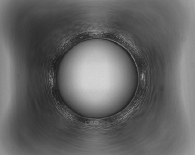 X0000116271348200912071034