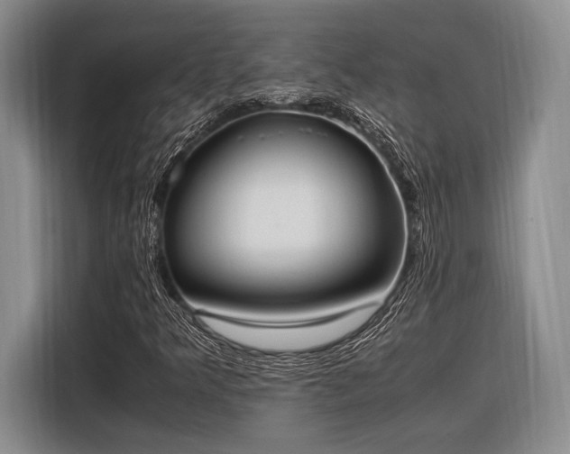 X0000116271349200912071034